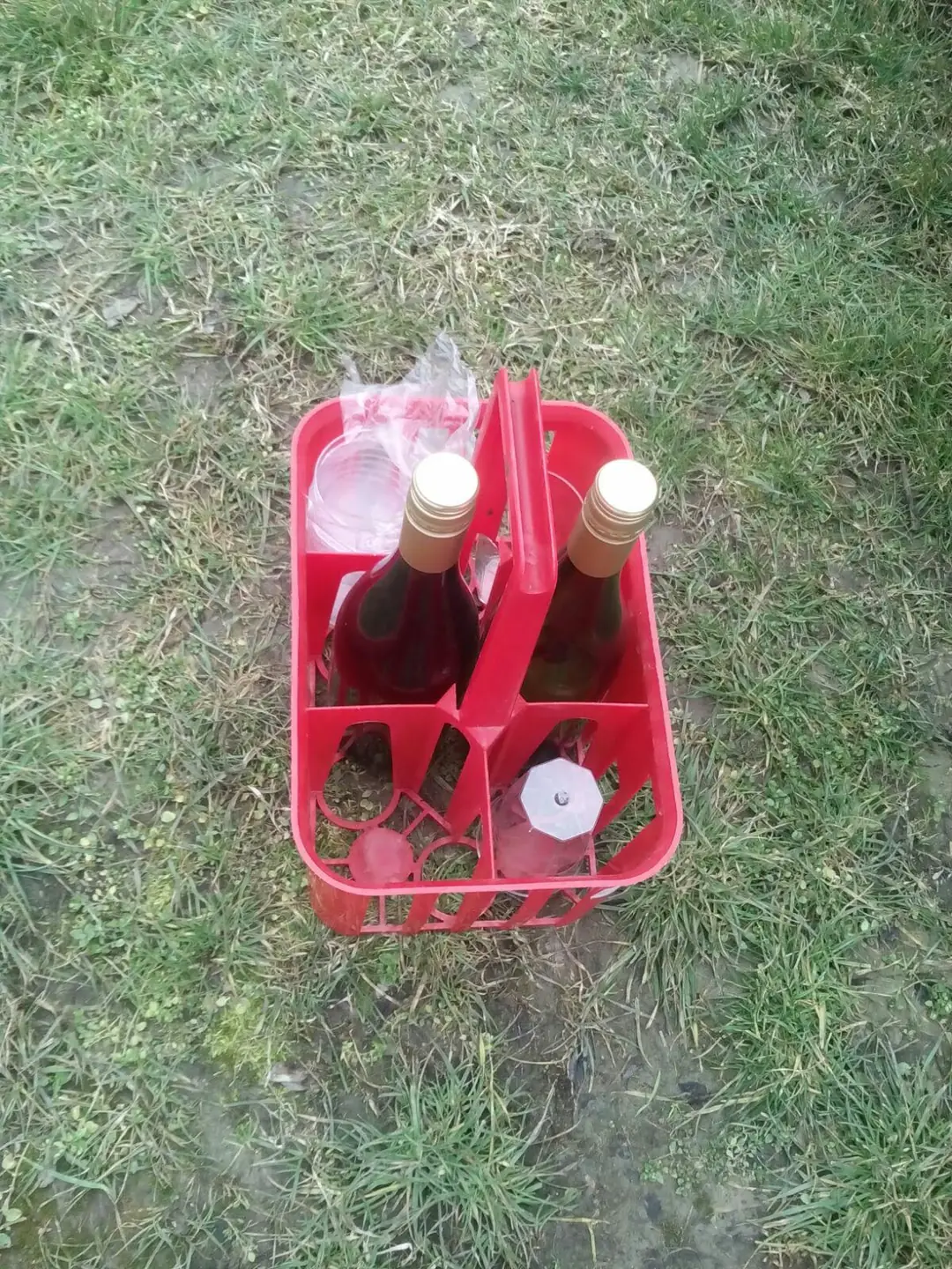 Brigáda vo vinohrade 2018 - fotka 4