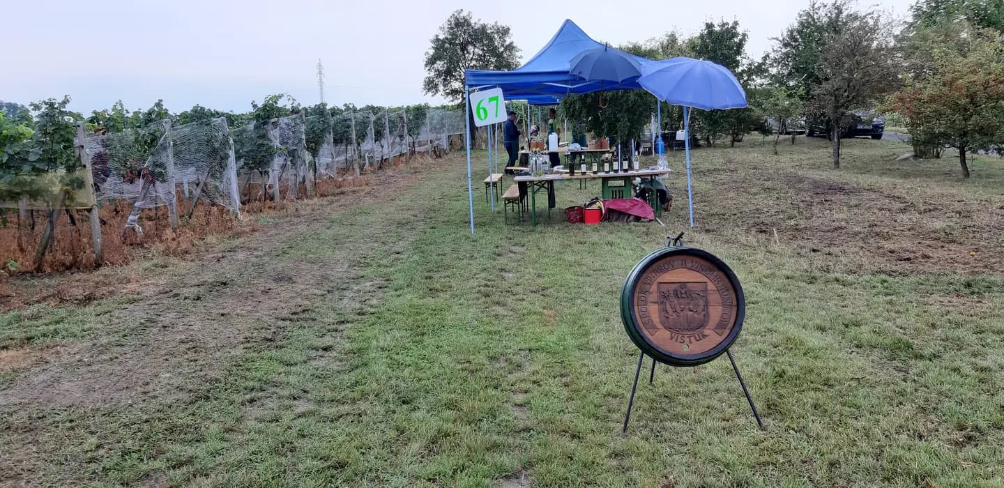 Deň vo vinohradoch 2019 - fotka 2