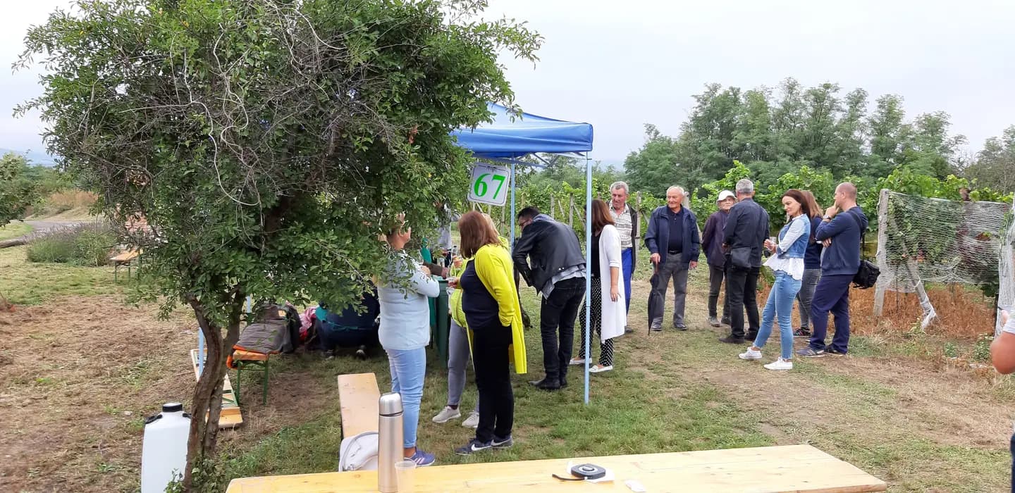 Deň vo vinohradoch 2019 - fotka 4