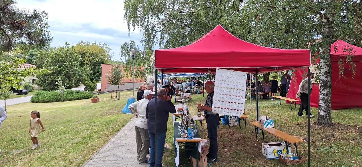 Večer vištuckého vína 2025 - fotka 2